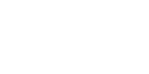 light logo